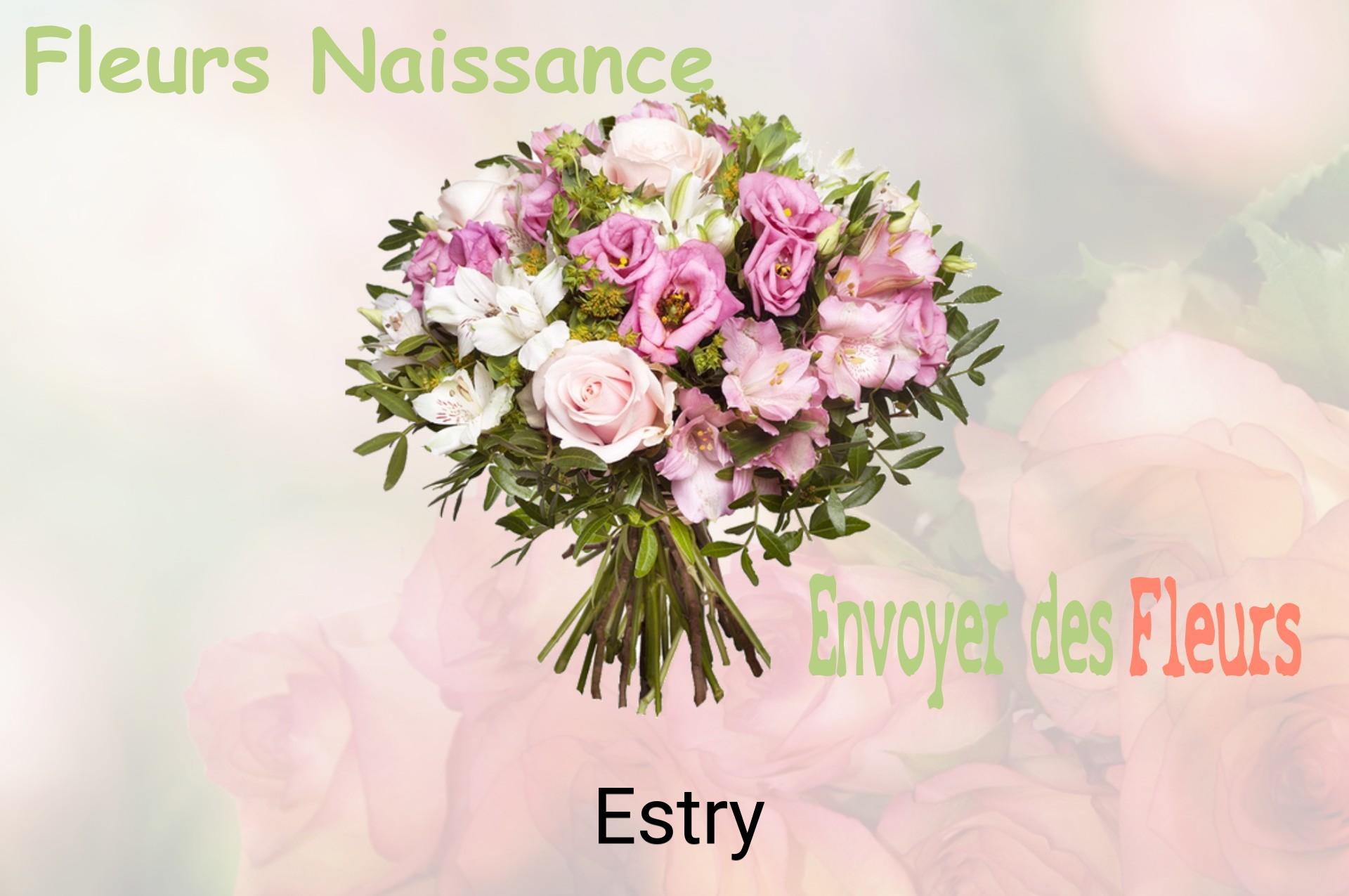 Bouquet de fleurs de naissance livré à Estry